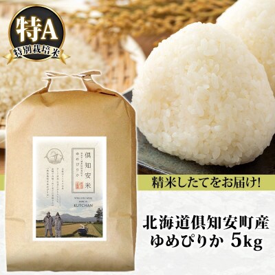 北海道 倶知安町産 ゆめぴりか 特別栽培米 精米 5kg 数量限定 【2026年4月出荷】