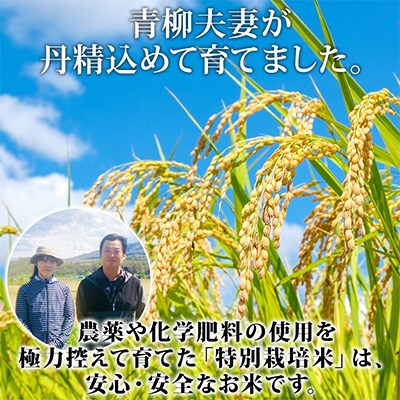 【毎月定期便】令和5年産 北海道 倶知安町産 ゆめぴりか 特別栽培米 5kg 特A全3回