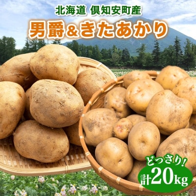 【2025年先行受付】北海道産 じゃがいも 2種 男爵 きたあかり 計約20kg  倶知安町