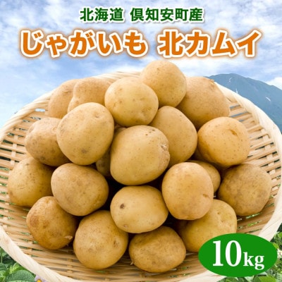【10月下旬以降発送予定】北海道産 じゃがいも 北かむい 約10kg 縁樹 北海道倶知安町