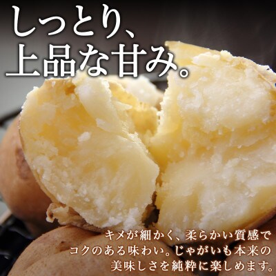 【10月下旬以降発送予定】北海道産 じゃがいも 北かむい 約10kg 縁樹 北海道倶知安町