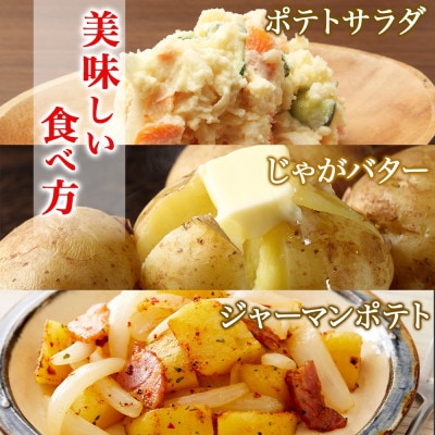 【10月下旬以降発送予定】北海道産 じゃがいも 北かむい 約10kg 縁樹 北海道倶知安町