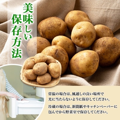 【10月下旬以降発送予定】北海道産 じゃがいも 北かむい 約10kg 縁樹 北海道倶知安町