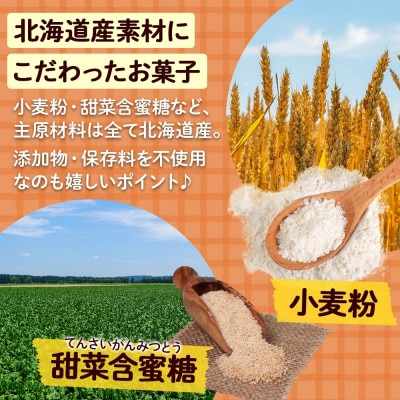 【無地のし付き】北海道倶知安町 アニマルクッキー 8種×3枚入り ギフト Sugar Palette