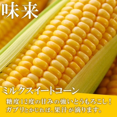 とうもろこし 味来 みらい 2Lサイズ 13本 約5kg グリーンアースファーム 北海道 倶知安町