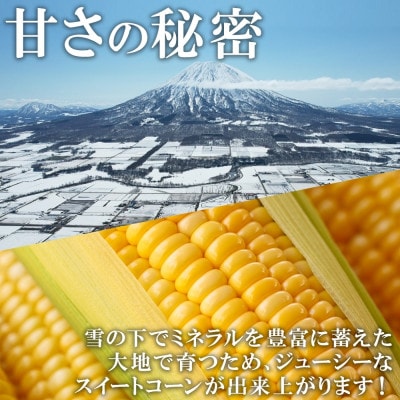 とうもろこし 味来 みらい 2Lサイズ 13本 約5kg グリーンアースファーム 北海道 倶知安町