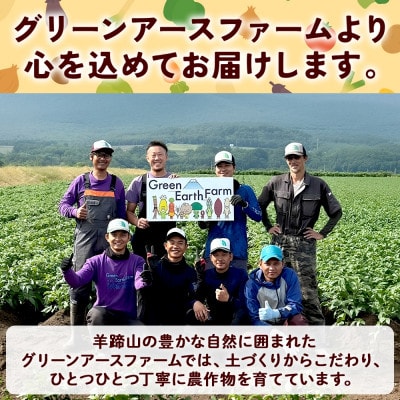 【2026年出荷】 とうもろこし 味来 みらい 2Lサイズ 13本 約5kg 北海道 倶知安町