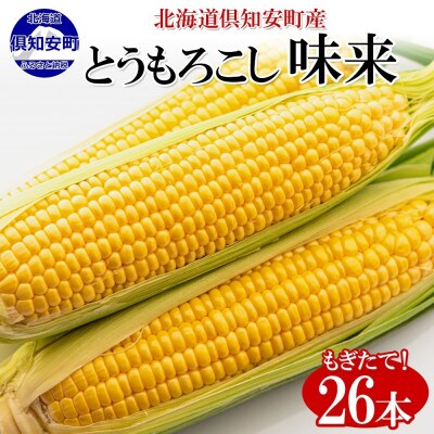 とうもろこし 味来 みらい 2Lサイズ 26本 約10kg グリーンアースファーム 北海道 倶知安町