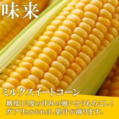 とうもろこし 味来 みらい 2Lサイズ 26本 約10kg グリーンアースファーム 北海道 倶知安町