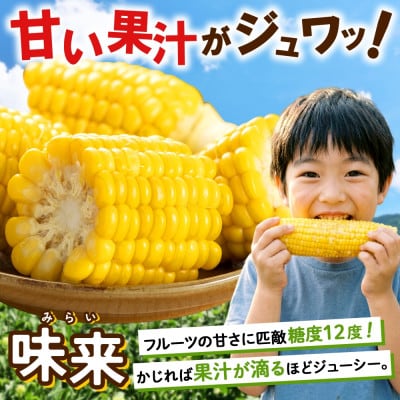 【2026年発送】 とうもろこし 味来 みらい 2Lサイズ 26本 約10kg 北海道 倶知安町