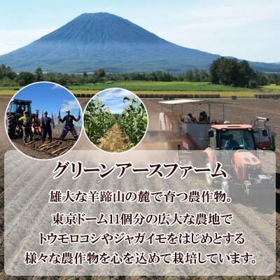 とうもろこし 味来 みらい 2Lサイズ 26本 約10kg グリーンアースファーム 北海道 倶知安町