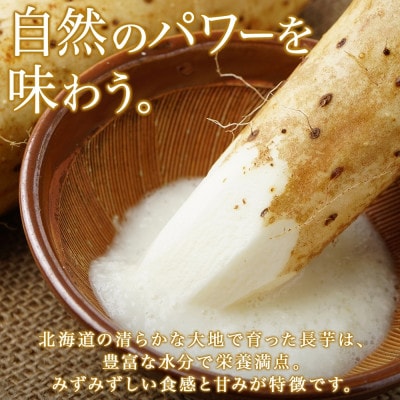 北海道 倶知安町産 長芋 計5kg 春堀り 芋 とろろ グリーンアースファーム 北海道 倶知安町