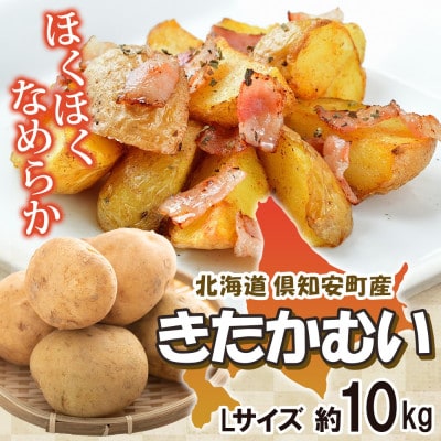 R8年産 先行受付 北海道産じゃがいも きたかむい Lサイズ 約10kg 馬鈴薯 北海道倶知安町