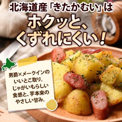 R8年産 先行受付 北海道産じゃがいも きたかむい Lサイズ 約10kg 馬鈴薯 北海道倶知安町