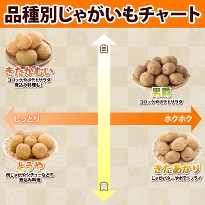 R8年産 先行受付 北海道産じゃがいも きたかむい Lサイズ 約10kg 馬鈴薯 北海道倶知安町