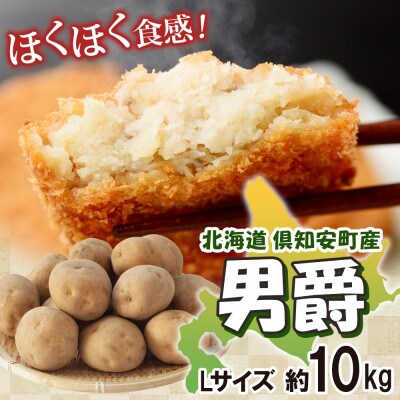 R8年度産 先行予約 北海道産 じゃがいも 男爵 Lサイズ 約10kg 馬鈴薯 北海道 倶知安町