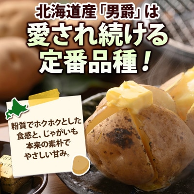 R8年度産 先行予約 北海道産 じゃがいも 男爵 Lサイズ 約10kg 馬鈴薯 北海道 倶知安町