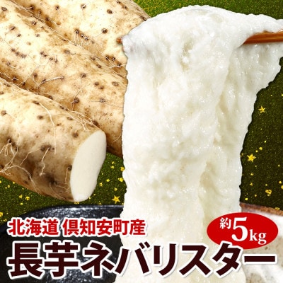 北海道 倶知安町産 ネバリスター 計5kg 北海道産 長芋 倶知安町【2026年11月中旬～お届け】