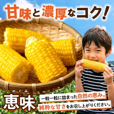 とうもろこし 恵味 めぐみ 13本 約5kg グリーンアースファーム 北海道 倶知安町
