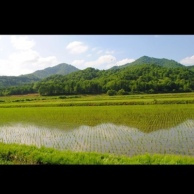 愛別町産米(ななつぼし2kg×2袋)3ヶ月定期配送【A40322】
