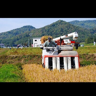 愛別町産米(ゆめぴりか2kg×2袋)12ヶ月定期配送【A46327】