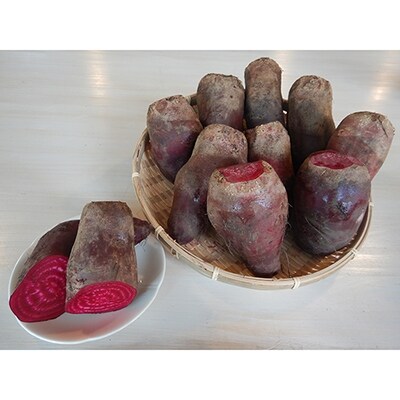 季節限定　ビーツ(シリンドラ)3kg【B10404】