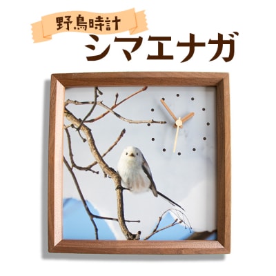 野鳥時計【シマエナガ】【G13105】