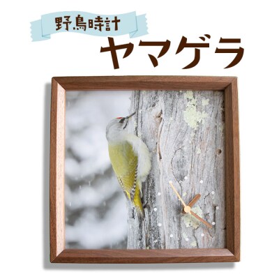 野鳥時計【ヤマゲラ】【G15107】
