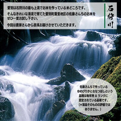 【先行受付】令和6年度産ななつぼし10kg【A59101】