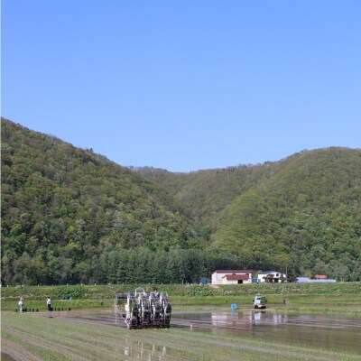 【先行受付】令和6年度産ゆめぴりか10kg【A60102】