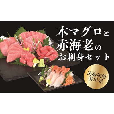 高級旅館御用達 本マグロと赤海老のお刺身セット お礼品詳細 ふるさと納税なら さとふる