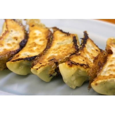 【とんちん館】手作り冷凍餃子 20個[No.5721-0110]