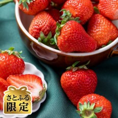 先行受付【2024年2月以降順次発送】さとふる限定フルーツ専門店の「あまおう苺」春5パック(宇美町)