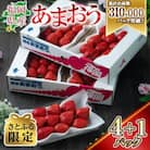 【さとふる限定】【2026年発送先行受付】『春あまおう』5パック(1.2kg以上)
