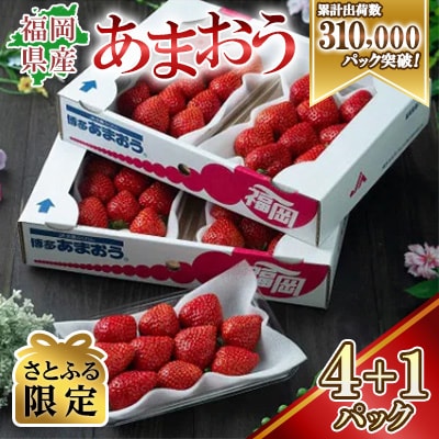【さとふる限定】【2026年発送先行受付】『春あまおう』5パック(1.2kg以上)