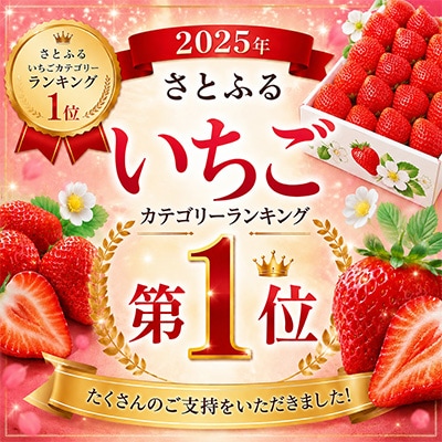 【2027年発送先行受付】【さとふる限定】いちご『春あまおう』5パック(1.2kg以上)