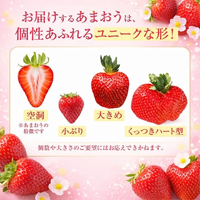【さとふる限定】【2026年発送】いちご『春あまおう』5パック(1.2kg以上)