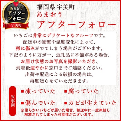 【2027年発送先行受付】【さとふる限定】いちご『春あまおう』5パック(1.2kg以上)