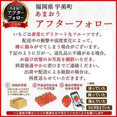 【2027年発送先行受付】【さとふる限定】いちご『春あまおう』5パック(1.2kg以上)