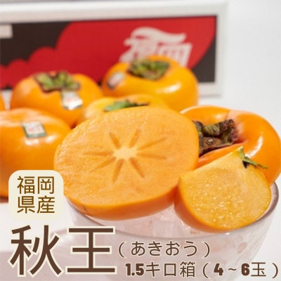 【宇美】秋王(あきおう)1.5kg箱(4-6玉)