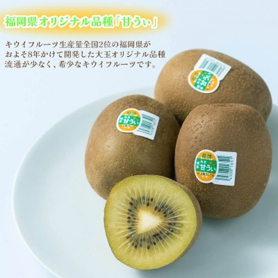 【先行受付】キウイ「甘うぃ(あまうぃ)」約1.5kg箱(12-15玉)福岡限定!ブランド(宇美町)
