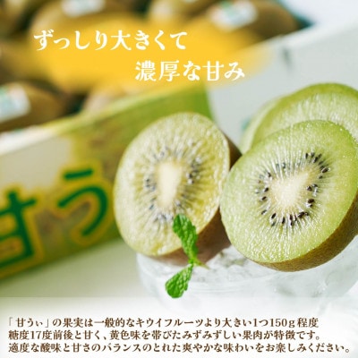【先行受付】キウイ「甘うぃ(あまうぃ)」約1.5kg箱(12-15玉)福岡限定!ブランド(宇美町)