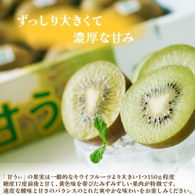【先行受付】キウイ「甘うぃ(あまうぃ)」約3kg箱(24-30玉)福岡限定!ブランド(宇美町)