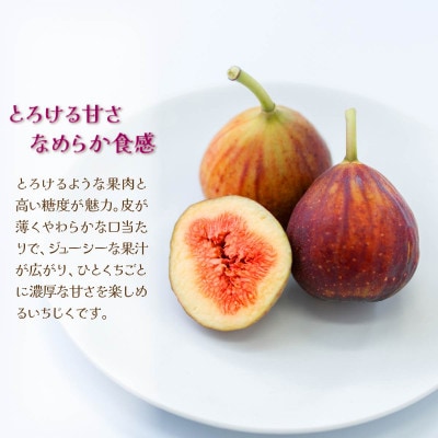 【先行受付】いちじく「とよみつひめ」約300g×4パック福岡限定!ブランド(宇美町)