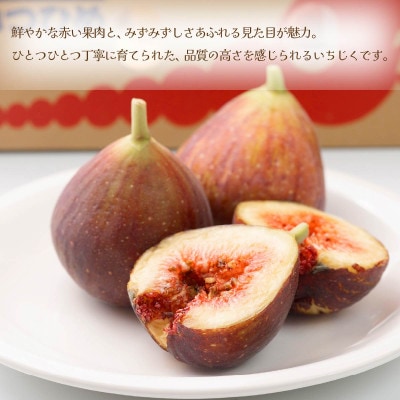 【先行受付】いちじく「とよみつひめ」約300g×4パック福岡限定!ブランド(宇美町)