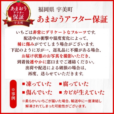 【11月下旬より順次発送】フルーツソムリエが選んだ【冬】あまおうDX(デラックス)2パック(宇美町)