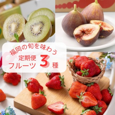 【発送月固定定期便】旬の福岡フルーツ定期便　とよみつひめ・甘うぃ・春あまおう(宇美町)全3回