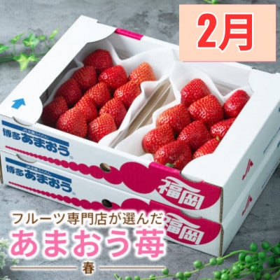 【発送月固定定期便】旬の福岡フルーツ定期便　とよみつひめ・甘うぃ・春あまおう(宇美町)全3回