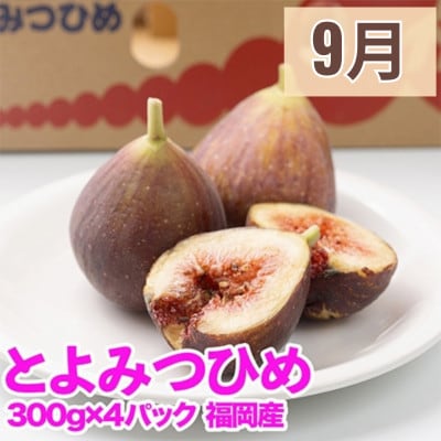 【発送月固定定期便】旬の福岡フルーツ定期便　とよみつひめ・甘うぃ・春あまおう(宇美町)全3回