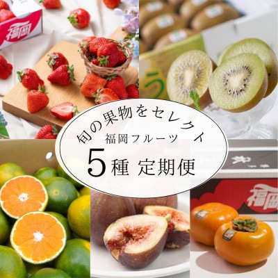 【発送月固定定期便】旬の福岡フルーツ　あまおう・とよみつひめ・早味みかん・秋王・甘うぃ(宇美)全5回